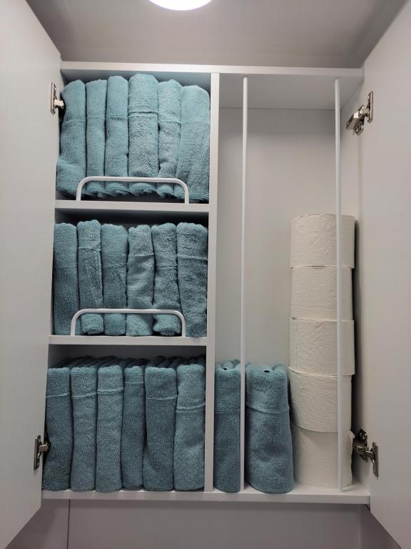 Newly Renovated Apartment Center of Seoul #10